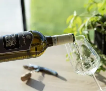 Come si versa il vino nel calice o in un decanter: tutto quello che devi sapere!