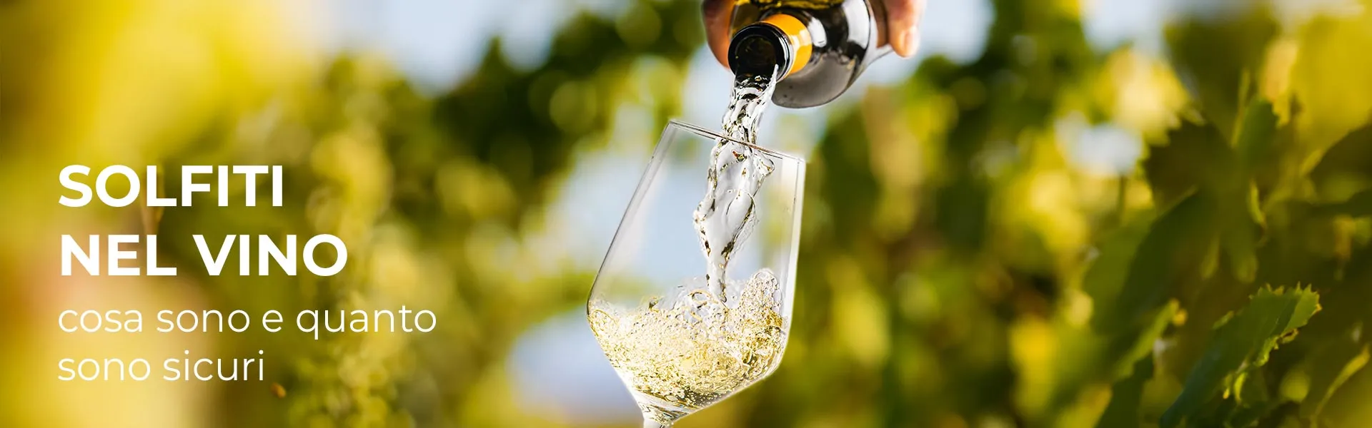 solfiti nel vino